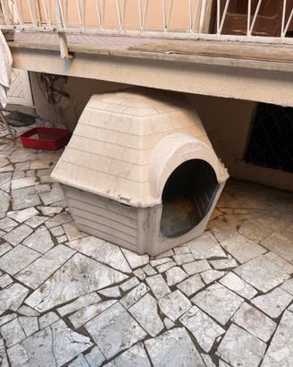 Cuccia per cani