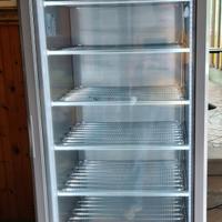 Vetrina congelatore professionale 397 litri 
