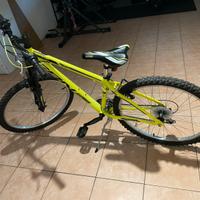 Bici 24”