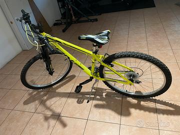 Bici 24”