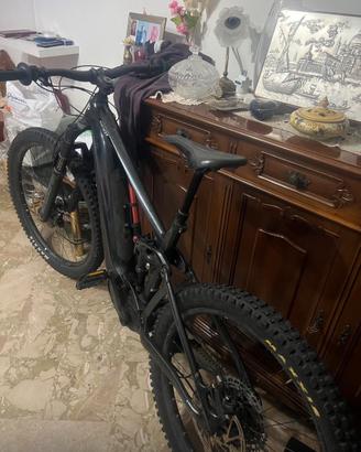 Bici elettrica