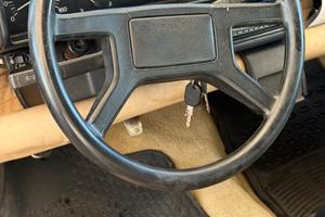 PANDA 4x4 GPL ASI GANC TRAIN TRATTABILE LEGGI BENE