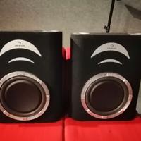 Coppia di Subwoofer passivi per auto AUNA
