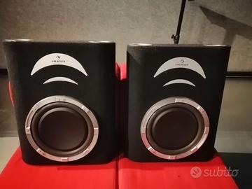 Coppia di Subwoofer passivi per auto AUNA