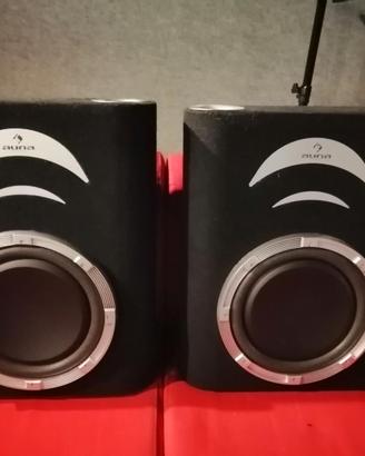 Coppia di Subwoofer passivi per auto AUNA