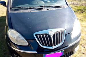 Lancia Musa seconda serie oro