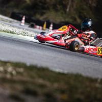 Kart birel R31