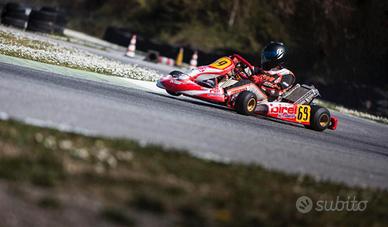 Kart birel R31