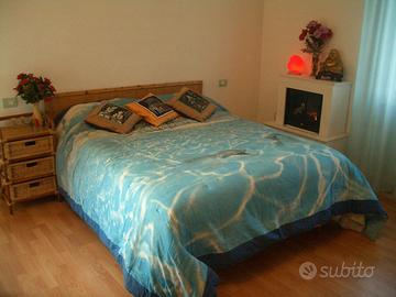 Ampio Trilocale a Vimodrone M2