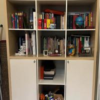 Libreria con sportelli