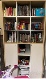 Libreria con sportelli