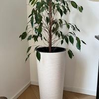 Vaso alto per fiori con inserto (senza pianta)