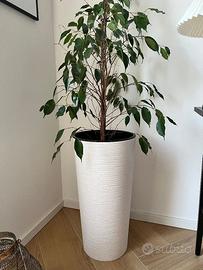 Vaso alto per fiori con inserto (senza pianta)