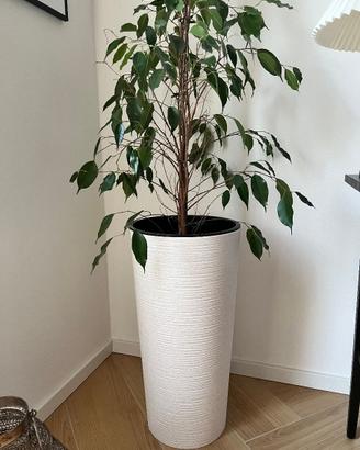 Vaso alto per fiori con inserto (senza pianta)