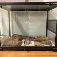 Teca terrario rettili in vetro
