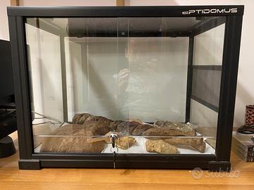 Teca terrario rettili in vetro