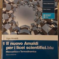 Il Nuovo Amaldi per i licei scientifici