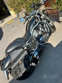 Moto Harley
