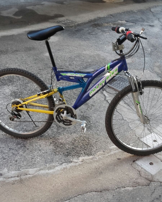 Mountain-bike