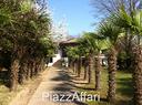 villa-singola-con-parco-di-6-700-mq-