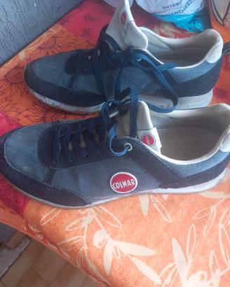 scarpe Snikears Colmar