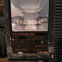 Torre faro e lampione 