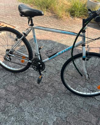 Bicicletta con catena antifurto