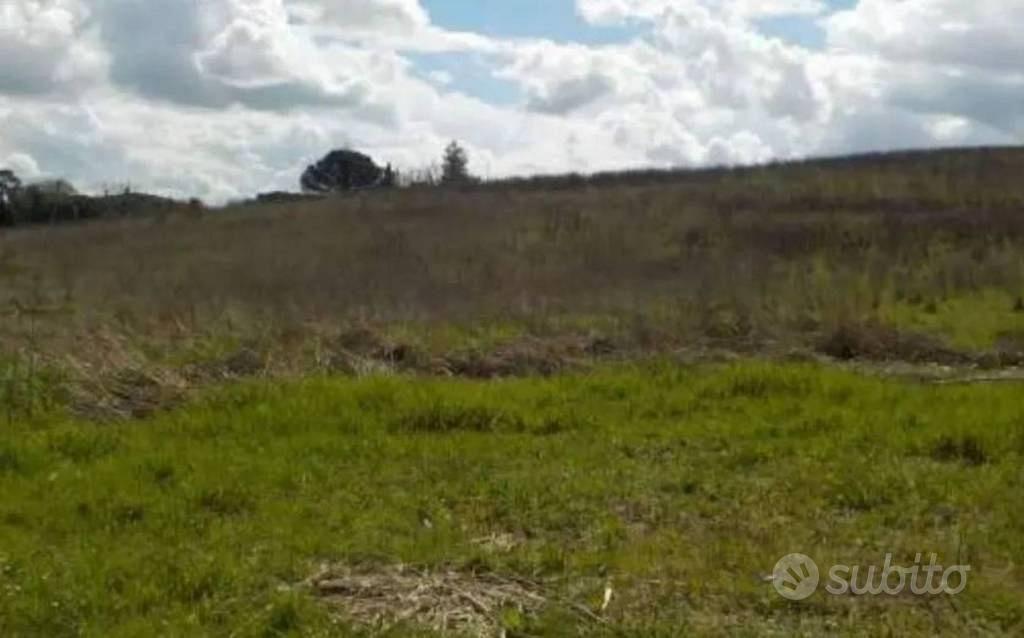 Immobile in asta di 101390 m² a Capannoli - Vista 5
