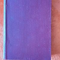 Antonio Fogazzaro: romanzo