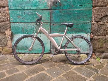 Bicicletta 24