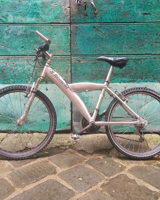 Bicicletta 24