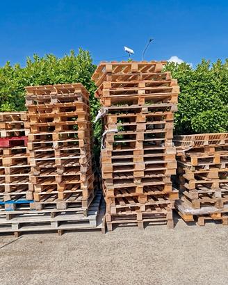55 BANCALI IN LEGNO USATI - VARIE MISURE