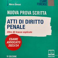 atto di diritto penale