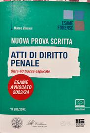 atto di diritto penale