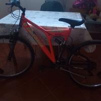 Mountain bike