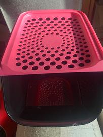 Orto in casa tupperware