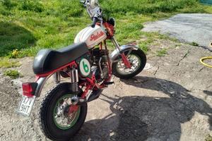 Giulietta Peripoli Tiny