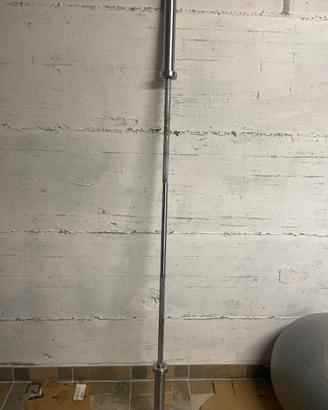 Bilanciere Olympic Bar 201 cm 15 kg KWELL IRIS