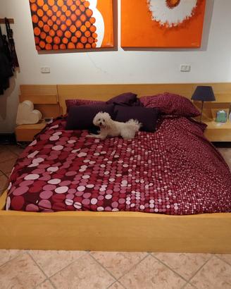 Letto matrimoniale Ikea MALM