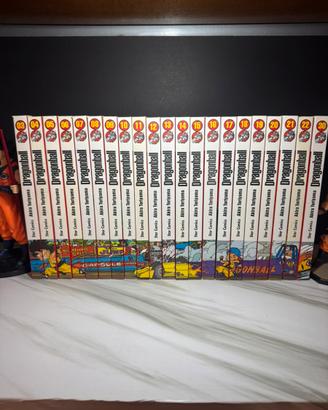 Manga Dragon ball perfect edifion 3-21/30💕📚