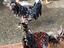 Immagine 2
