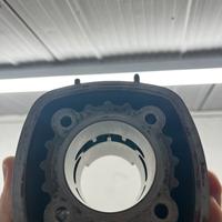 Polini evo scarico w