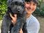 Immagine 24