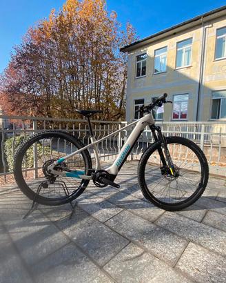 Raymon Ebike hardray