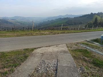 terreno agricolo a vigneto