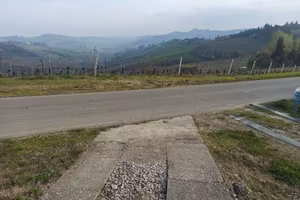 terreno agricolo a vigneto