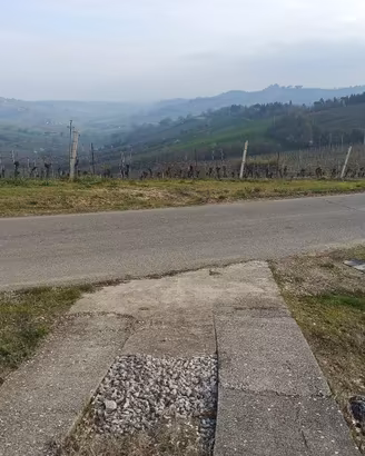 terreno agricolo a vigneto