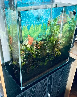 Acquario artigianale