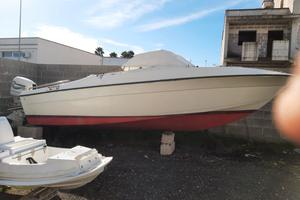 Semicabinato, motore Evinrude