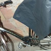 Bicicletta unisex 